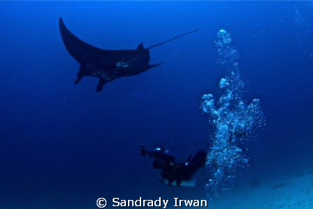 Just imagine how we shot the manta, with wide lense 10-17... by Sandrady Irwan 
