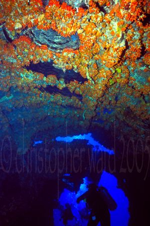 British Virgin Islands, Wreck of the Rhone. Last of the d... by Christopher Ward 