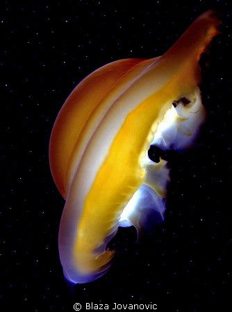 This deep space alien object is the photo of a jellyfish ... by Blaza Jovanovic 
