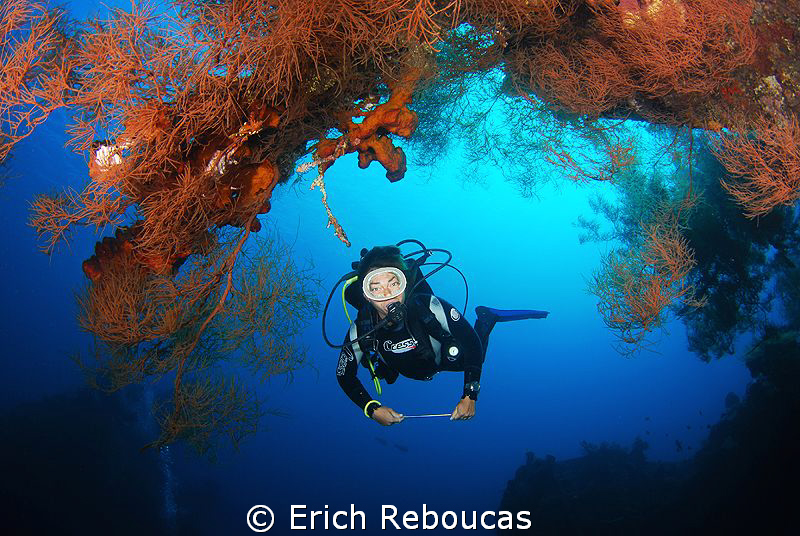 My wife and the corals around the Liberty wreck by Erich Reboucas 