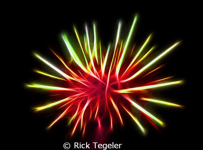Urchin... enjoy! by Rick Tegeler 