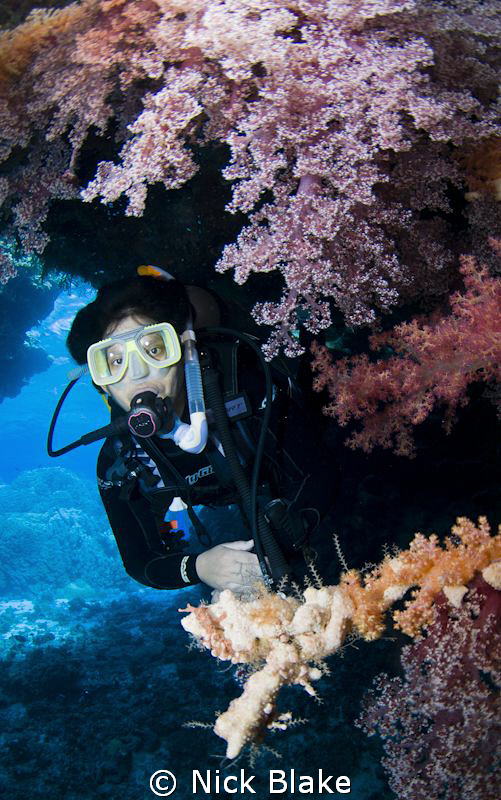 Diver and soft corals
St Johns, Red Sea by Nick Blake 