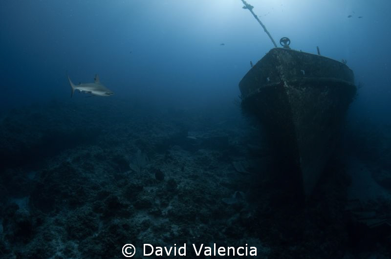 This is a wreck off highbourne cay, bahamas we call the a... by David Valencia 