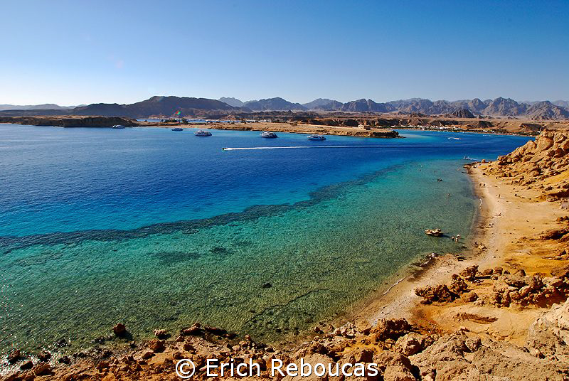 My backyard - All the colors of the Red Sea by Erich Reboucas 