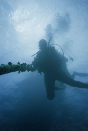 Divers descending to the wreck of the Tui. Photo taken fr... by Quentin Long 