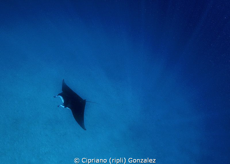 snorkeling feeling by Cipriano (ripli) Gonzalez 