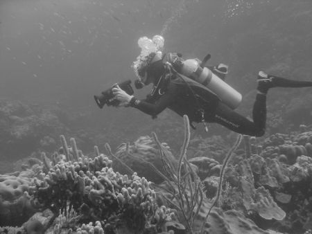 Diver taking video in Bonaire by Kelly N. Saunders 