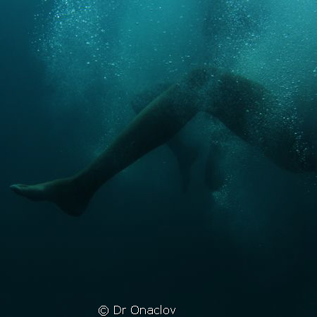 There photos were captured recently on Lizard Island. I w... by Caitilin De Berigny Wall 