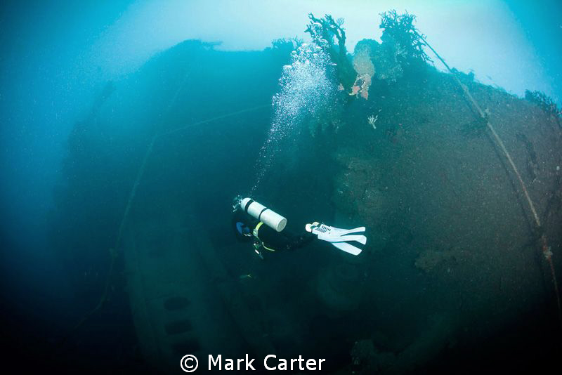 diver returning from the stern of the SS President coolid... by Mark Carter 