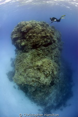 barracuda bommie, Agincourt reef GBR by Christopher Hamilton 