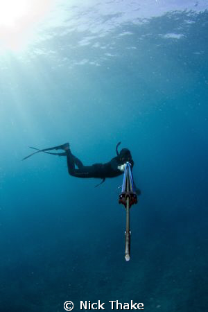 Freediver lines up his next shot... by Nick Thake 