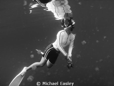 Snorkeler enjoying the amazing view of Jellyfish Lake, Pa... by Michael Easley 