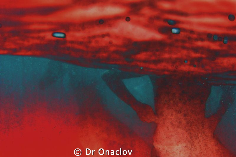 Underwater Abstraction #34 by Dr Onaclov 