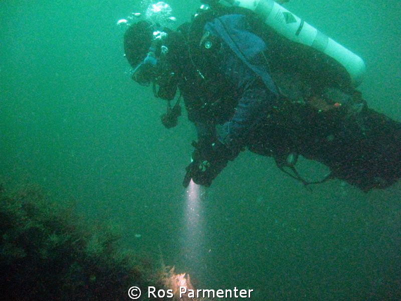 Diver on the Karlsruhe, Scapa Flow by Ros Parmenter 