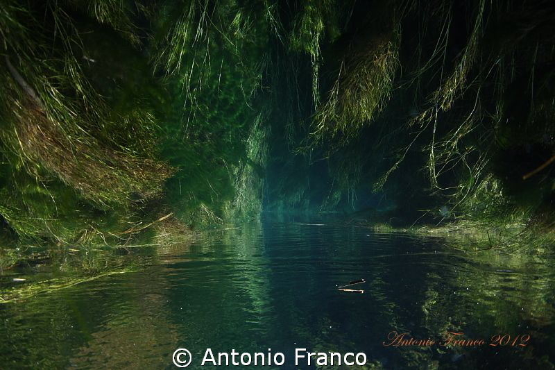 Upside view of Chidro river by Antonio Franco 
