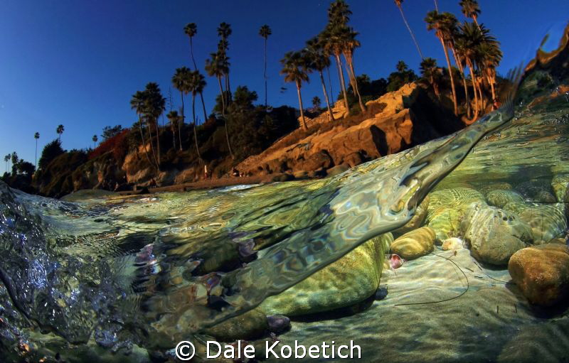 warm afternoon this winter in the shallows by Dale Kobetich 