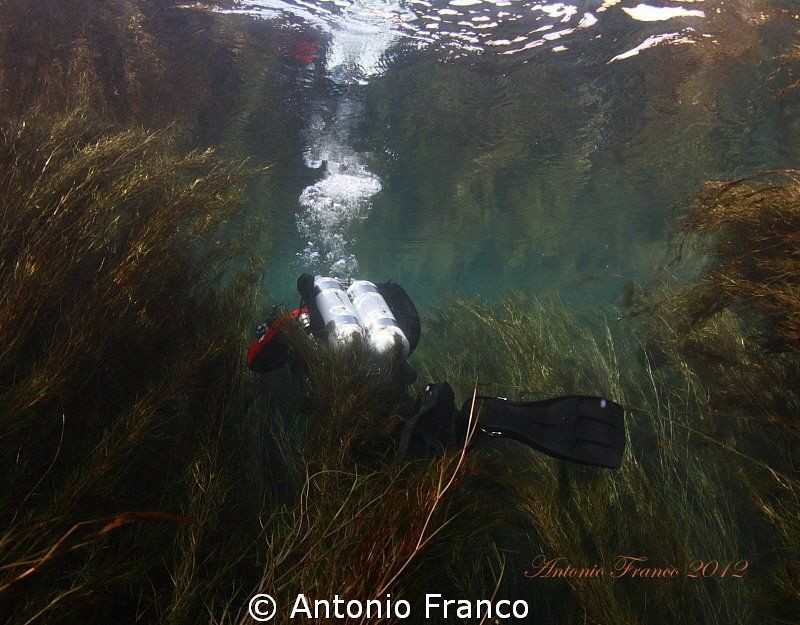 Dive into the Chidro River.
Natural light by Antonio Franco 
