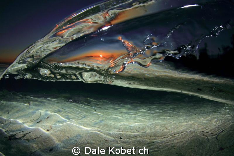 disturbance in a tide pool at sunset by Dale Kobetich 