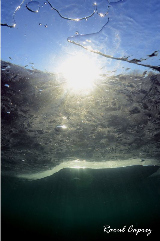 Ice, Bubbles, Sun & Fun by Raoul Caprez 