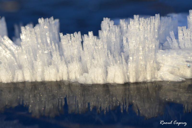 Frost reflection on the ice by Raoul Caprez 