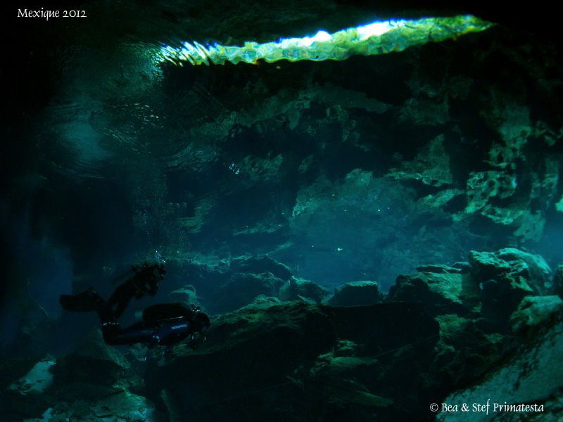 Cenote atmosphere. by Bea & Stef Primatesta 