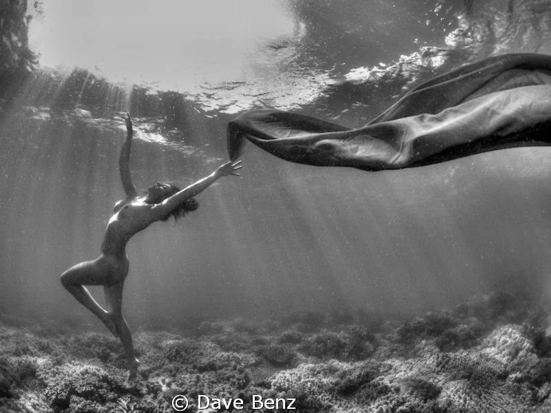 Underwatershooting with german underwatermodel Nadine Wer... by Dave Benz 
