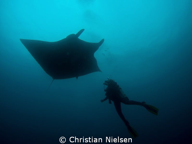 My wife and a friendly manta in silhouette. The Boiler, S... by Christian Nielsen 