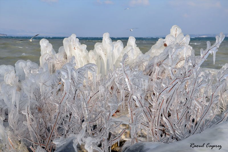 Nature art
(result of a strong wind and cold temperatures) by Raoul Caprez 