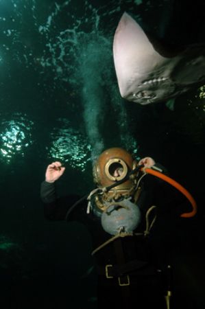 Historic diving gear and ray. It really is great fun divi... by Grant Kennedy 