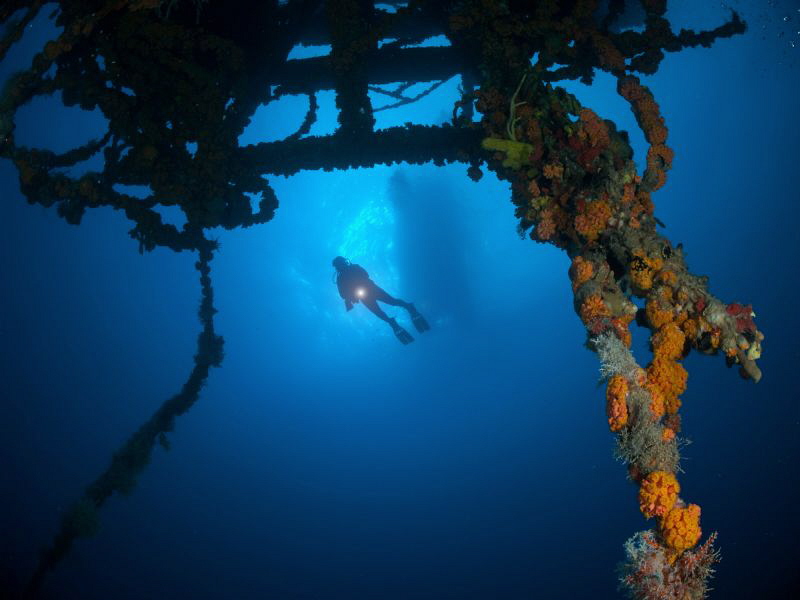Looking from below.  At the wreck of the WIT Concrete. by Juan Torres 