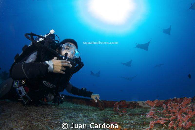 Eaglerays ..cancun´s wreck dive by Juan Cardona 