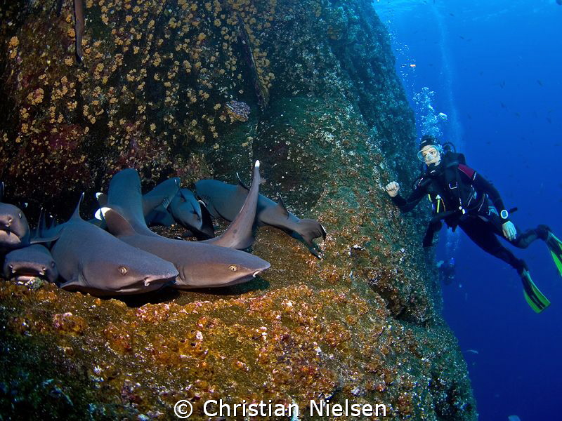 Who is watching who ? Another great encounter with numera... by Christian Nielsen 