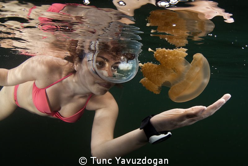 Snorkeling around the Famous Jellyfish Lake in Palau . by Tunc Yavuzdogan 