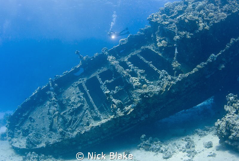 Tug Boat wreck and Diver, Southern Red Sea by Nick Blake 