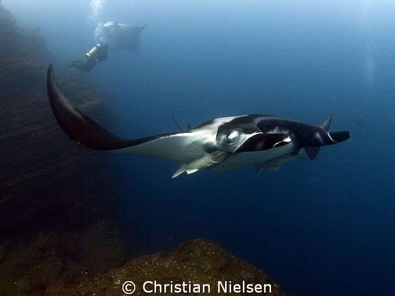 2 manta's, one diveguide and a spectacular rock. Doesn't ... by Christian Nielsen 