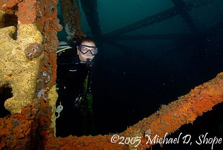 A Diver exploring one of the bridge spans down in Panama ... by Michael Shope 