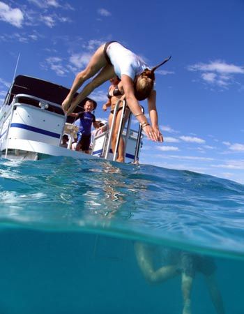 Dive on in! Ningaloo Reef, Western Australia by Penny Murphy 