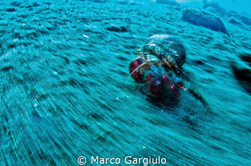 panning in camera then HDR processing by Marco Gargiulo 
