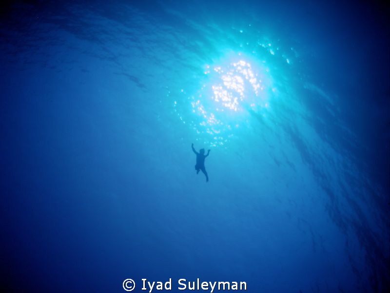 Unexpoected swimmer afloat by Iyad Suleyman 