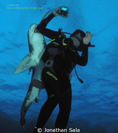 Oceanic White Typ Shark & diver
St.John - Egypt by Jonathan Sala 