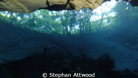 The world beyond - a cenote's view by Stephan Attwood 