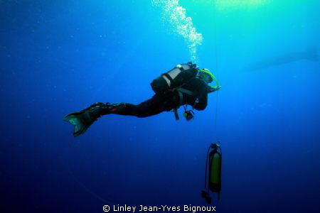 A diver waiting for deco to stop after a 68 m dive  ,Maur... by Linley Jean-Yves Bignoux 