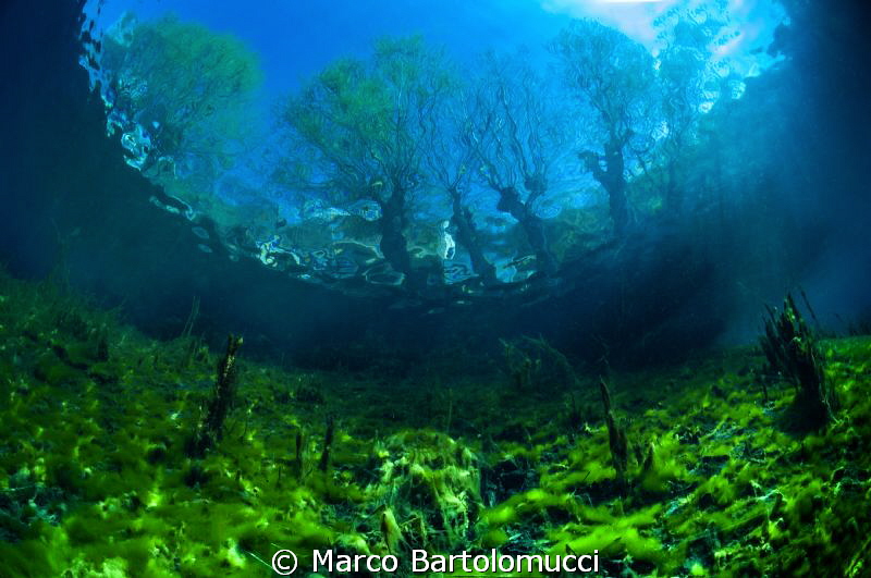 Posta Fibreno Lake- Lazio- Italy by Marco Bartolomucci 