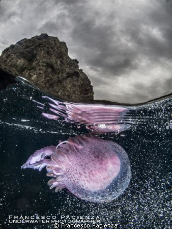 Jellyfish under the Scilla's castle. It's no photoshop ma... by Francesco Pacienza 