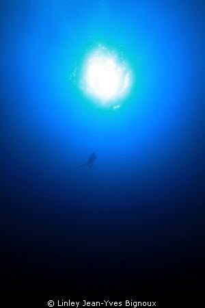 35 m dive just of Balaclava ,going up after a wreck dive ... by Linley Jean-Yves Bignoux 