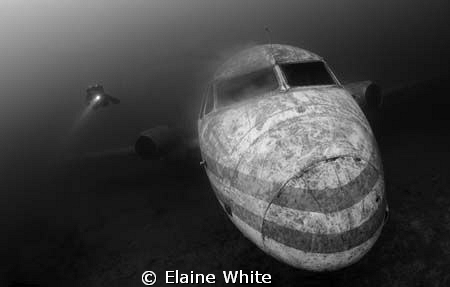 Passenger aircraft with Diver. Natural light
Capernwray by Elaine White 