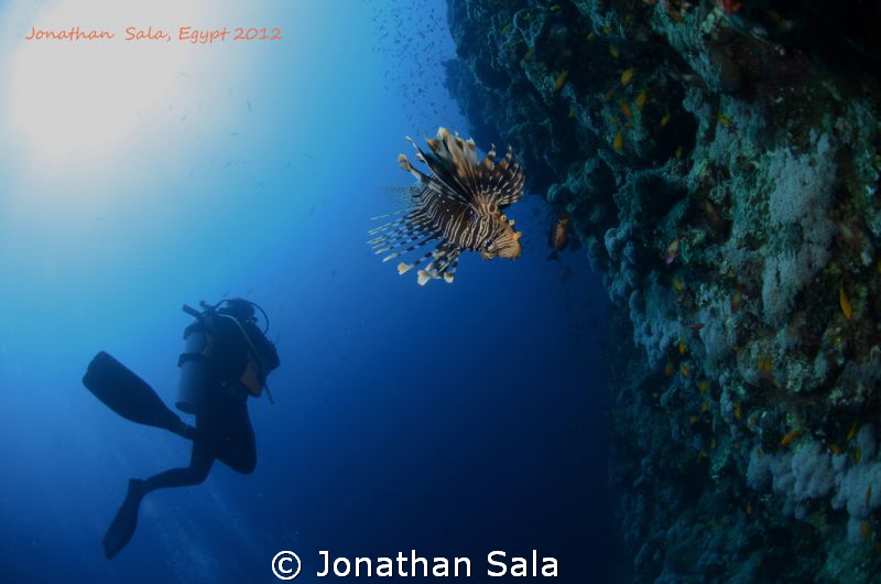 Lion Fish & Diver at Elphinstone Reef. Fish-Eye 10.5 mm by Jonathan Sala 