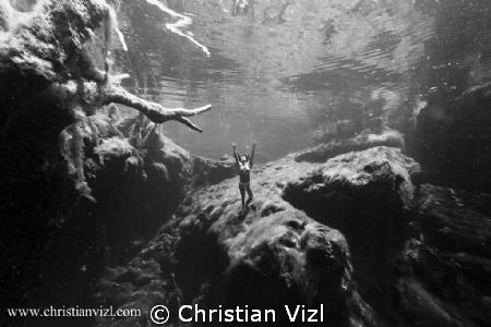 Woman Free Diving at Cenote Jardin del Eden, Quintana Roo... by Christian Vizl 