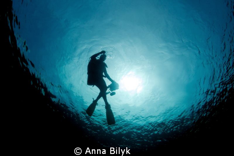 Underwater photographer by Anna Bilyk 