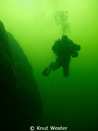 a diver svimming next to wall at the swedish island gotland. by Knut Wester 
